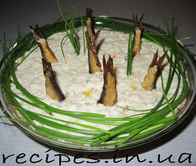 ����������� ����� � ������� �����������